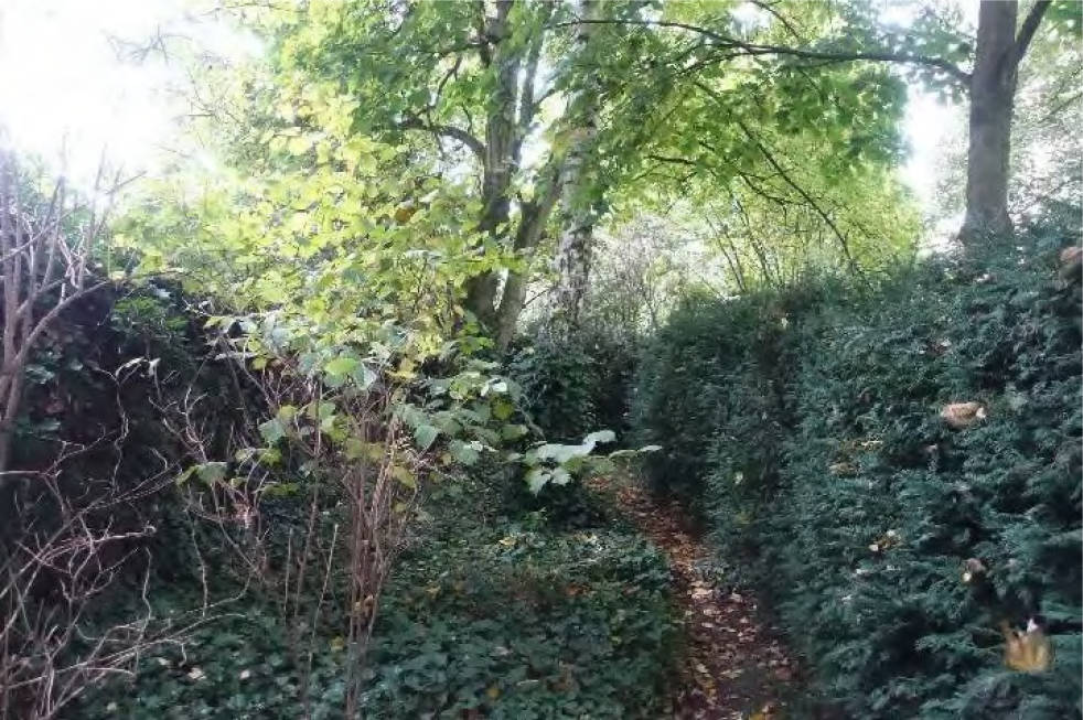 unbebautes Grundstück in Sindlinger Straße, 65830 Kriftel - Bild 4