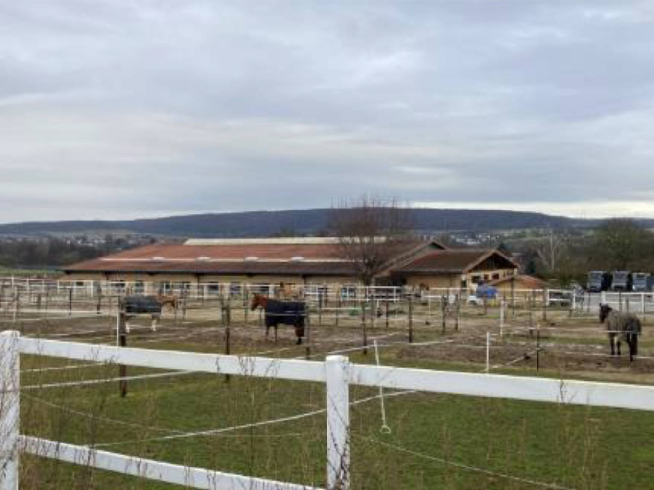 hessen 0841 K 0036/2015 Weiherhof 1, 65719 Hofheim 4