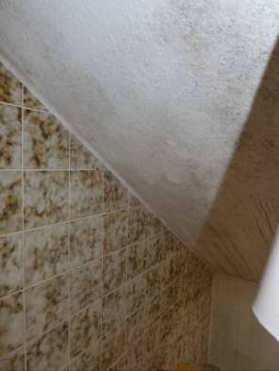 hessen 0842 K 0005/2024 Buchenstraße 12, 65933 Frankfurt am Main, Griesheim 8