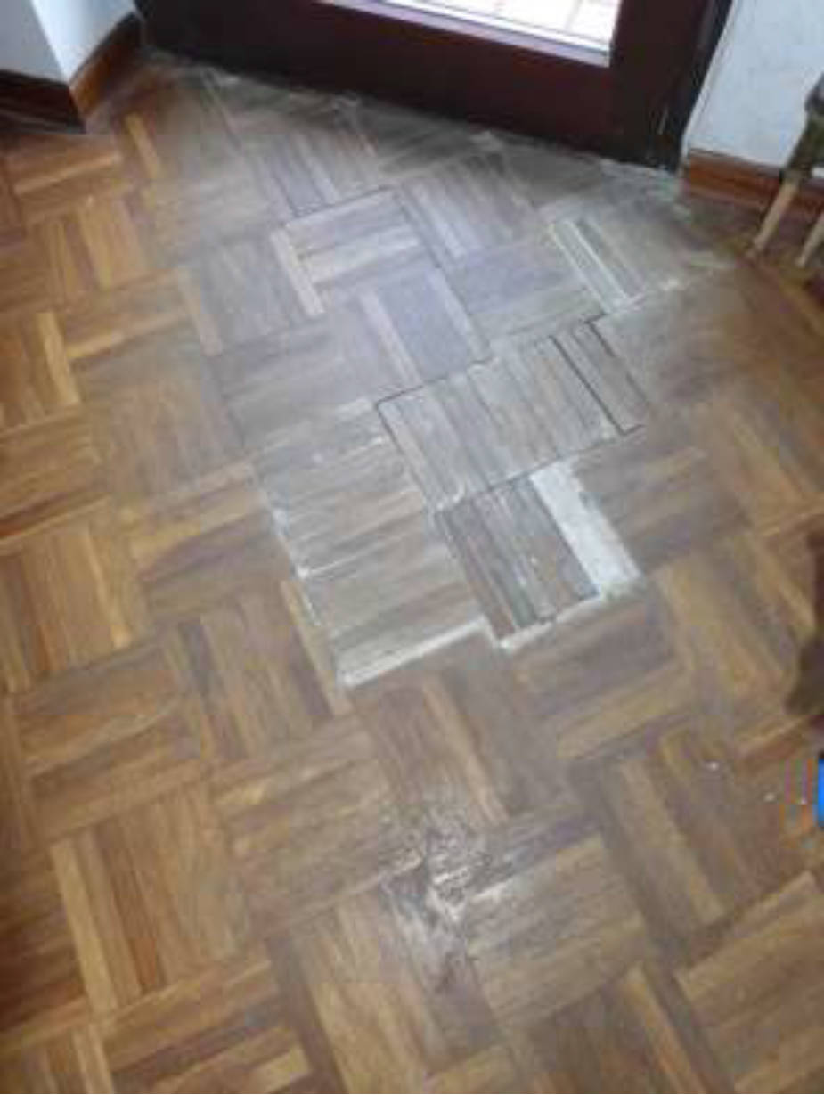 hessen 0842 K 0005/2024 Buchenstraße 12, 65933 Frankfurt am Main, Griesheim 23