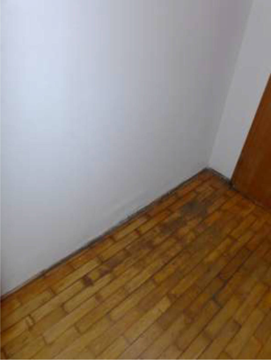 hessen 0842 K 0005/2024 Buchenstraße 12, 65933 Frankfurt am Main, Griesheim 21