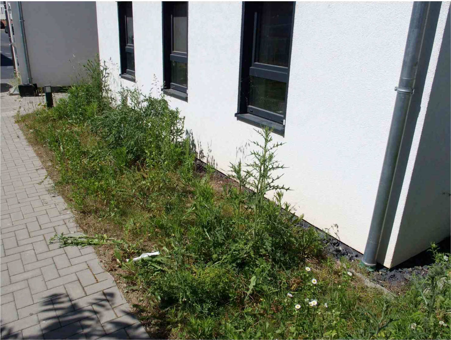 Eigentumswohnung (1 bis 2 Zimmer) in Maybachstr. 28, 28 a + b, 60433 Frankfurt am Main, Eschersheim - Bild 4