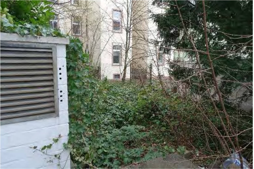 hessen 0842 K 0042/2024 Eschersheimer Landstraße 105-107, 60322 Frankfurt am Main, Westend-Nord 10