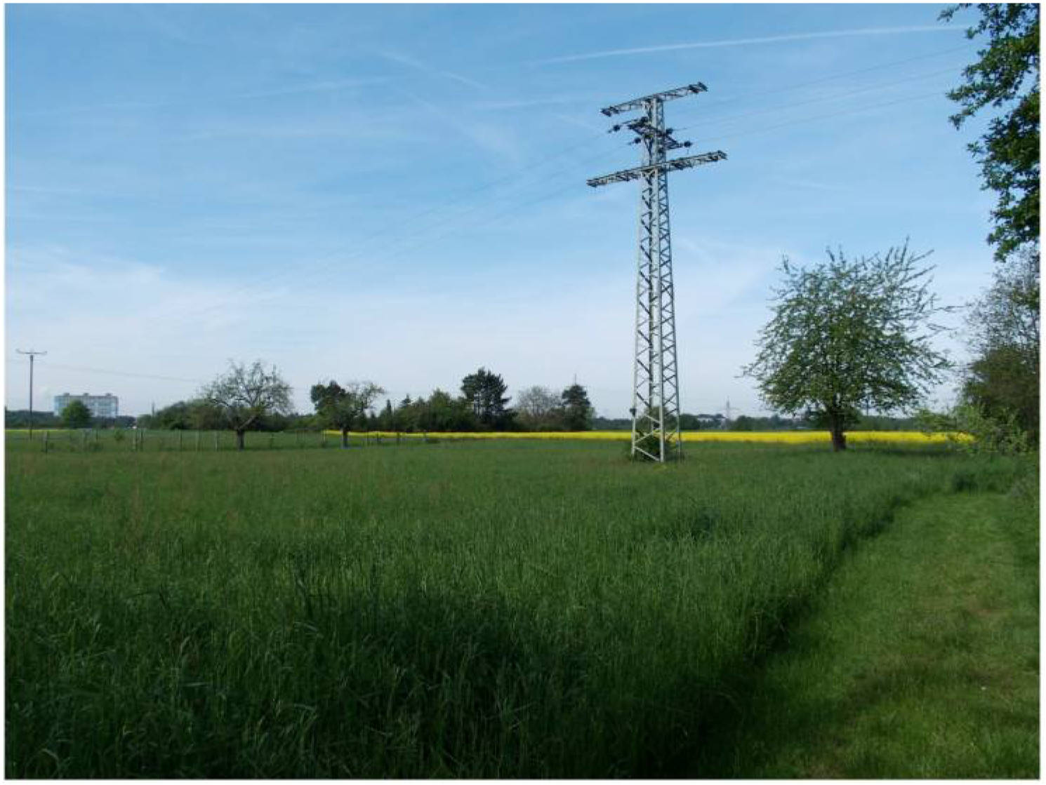 hessen 0842K0043-2023 Auf dem Plattenpfad, Zwischen dem Okrifteler Weg und d. u.a., 65931 Frankfurt am Main, Sindlingen