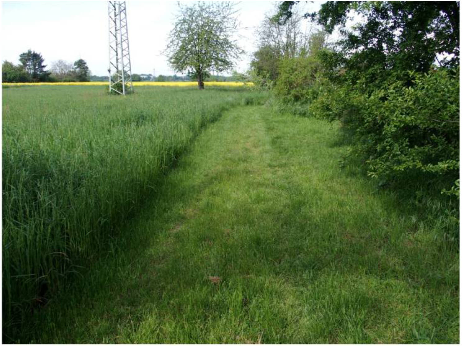 hessen 0842K0043-2023 Auf dem Plattenpfad, Zwischen dem Okrifteler Weg und d. u.a., 65931 Frankfurt am Main, Sindlingen