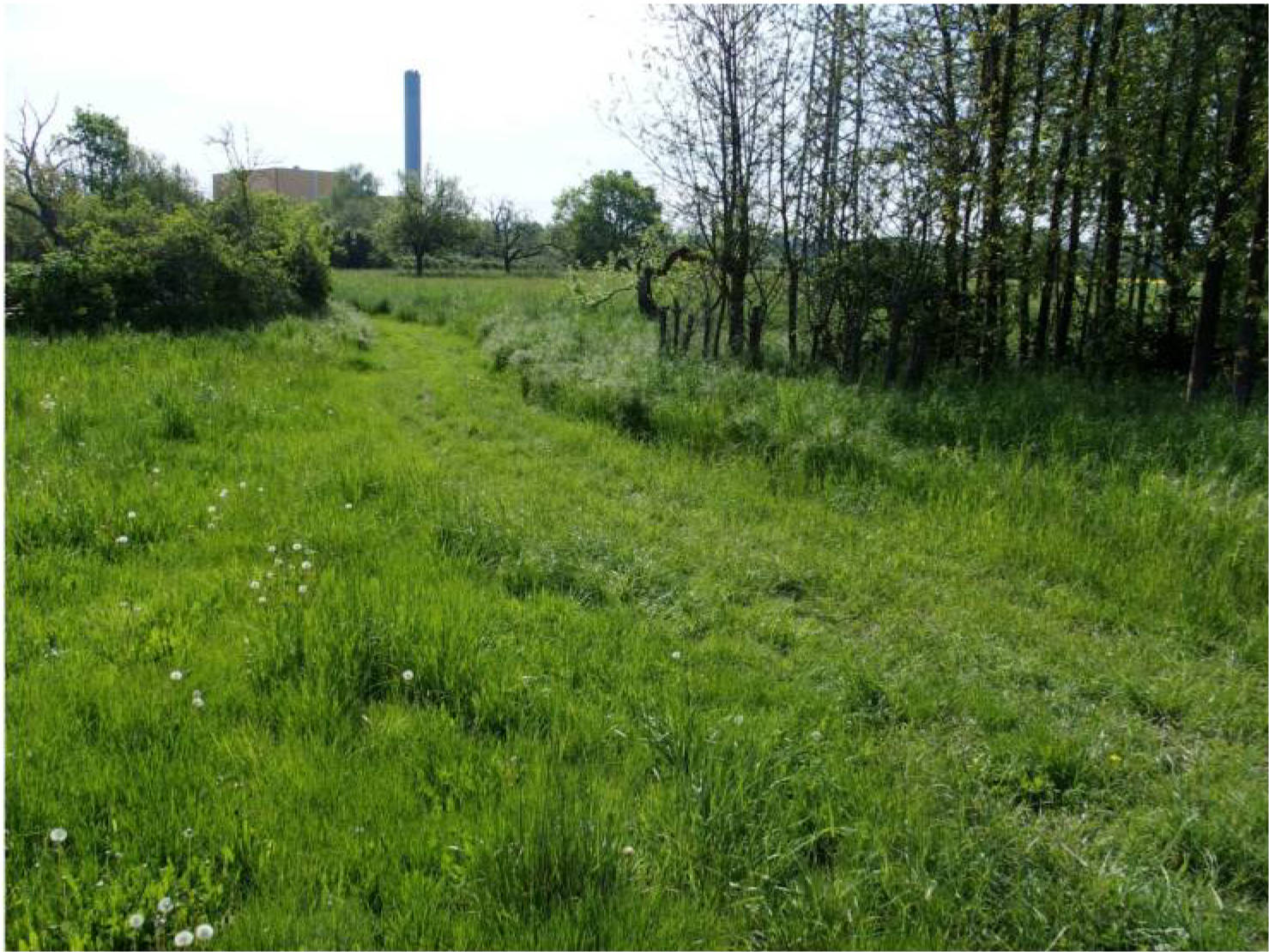 hessen 0842K0043-2023 Auf dem Plattenpfad, Zwischen dem Okrifteler Weg und d. u.a., 65931 Frankfurt am Main, Sindlingen