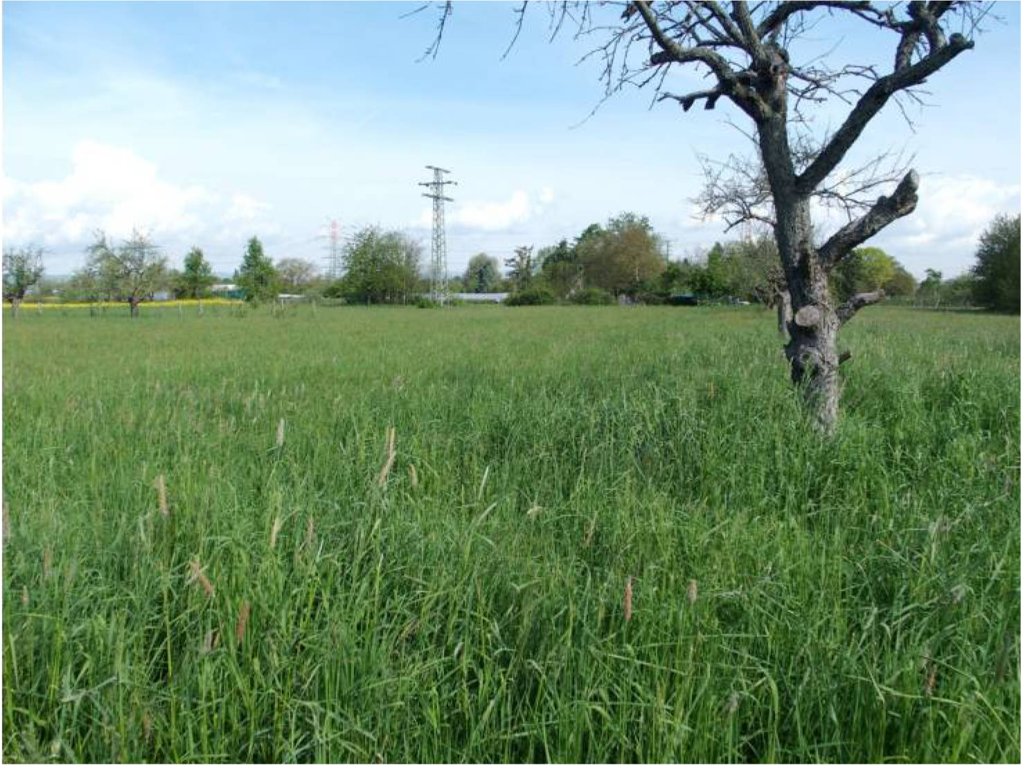hessen 0842K0043-2023 Auf dem Plattenpfad, Zwischen dem Okrifteler Weg und d. u.a., 65931 Frankfurt am Main, Sindlingen