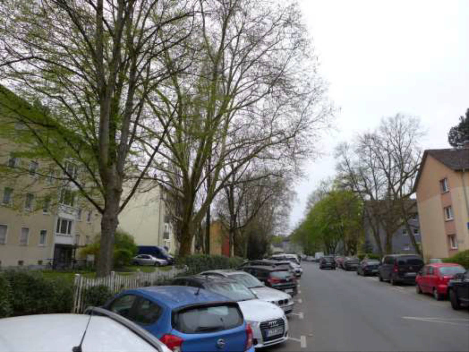 hessen 0843 K 0001/2025 Sigmund-Freud-Straße 46-50, 60435 Frankfurt am Main, Eckenheim 8