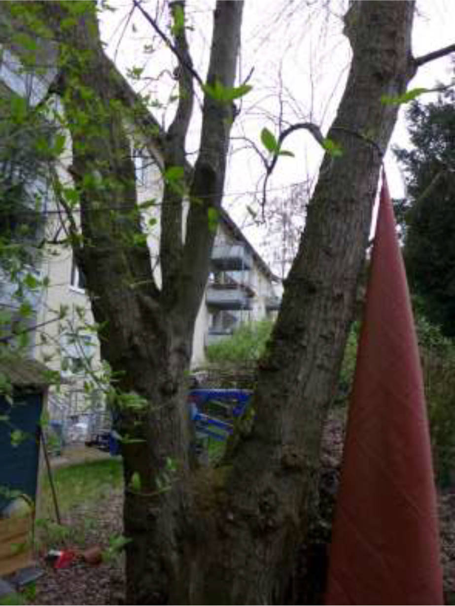 Eigentumswohnung (3 bis 4 Zimmer) in Sigmund-Freud-Straße 46-50, 60435 Frankfurt am Main, Eckenheim - Bild 3