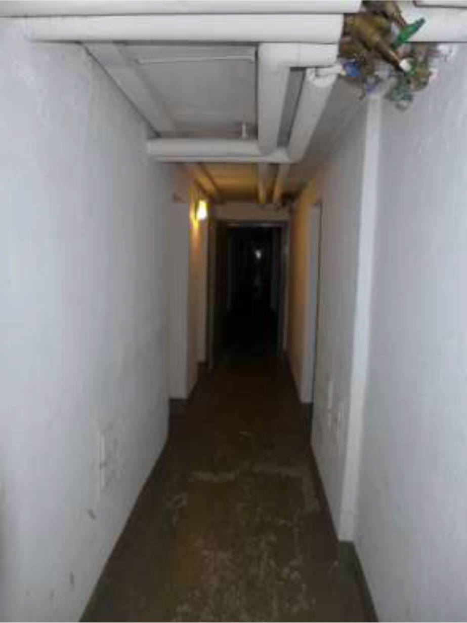 hessen 0843 K 0001/2025 Sigmund-Freud-Straße 46-50, 60435 Frankfurt am Main, Eckenheim 14