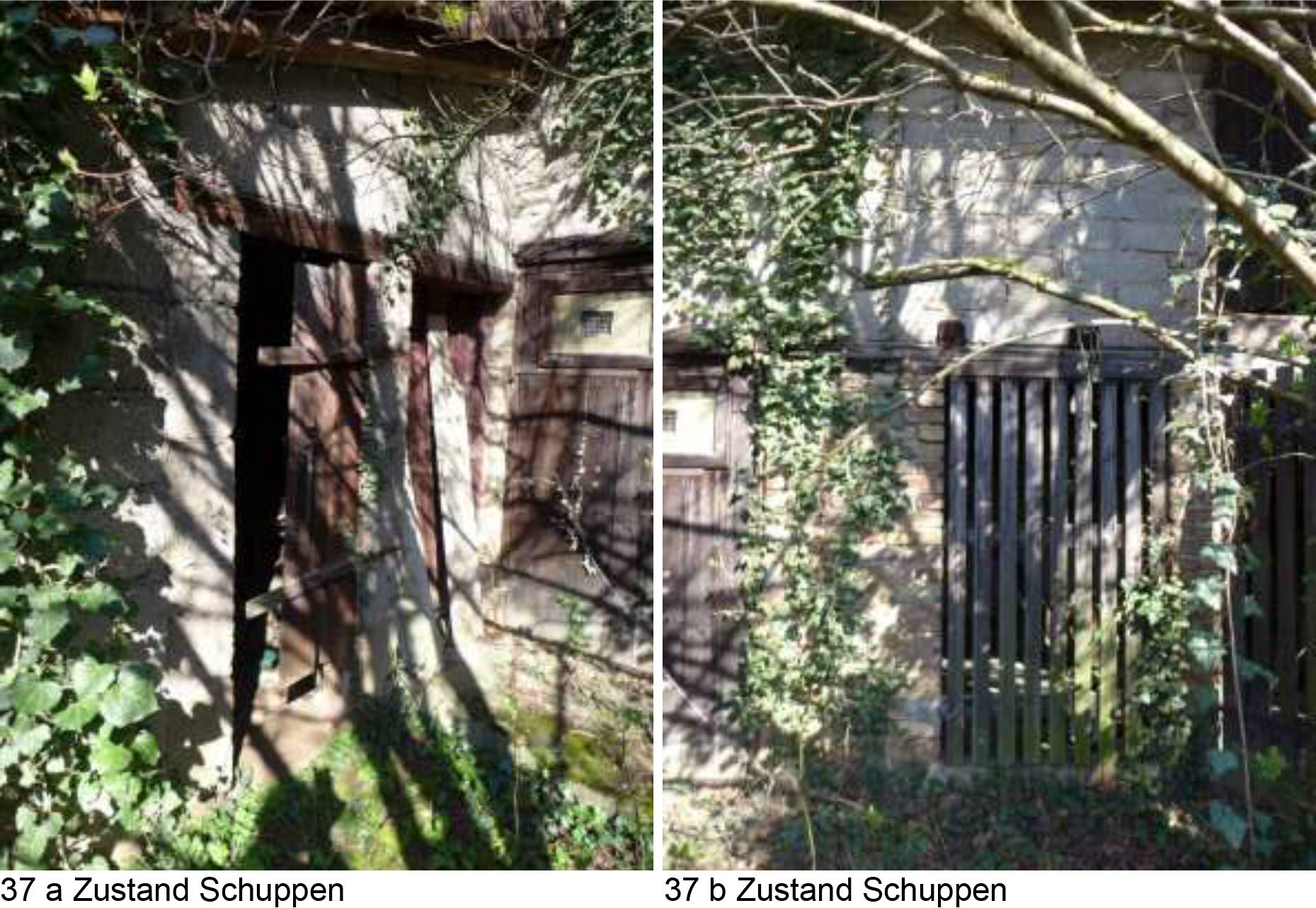 hessen 0844 K 0003/2025 Carl-Schultis-Straße 14, 60388 Frankfurt am Main, Bergen-Enkheim 6