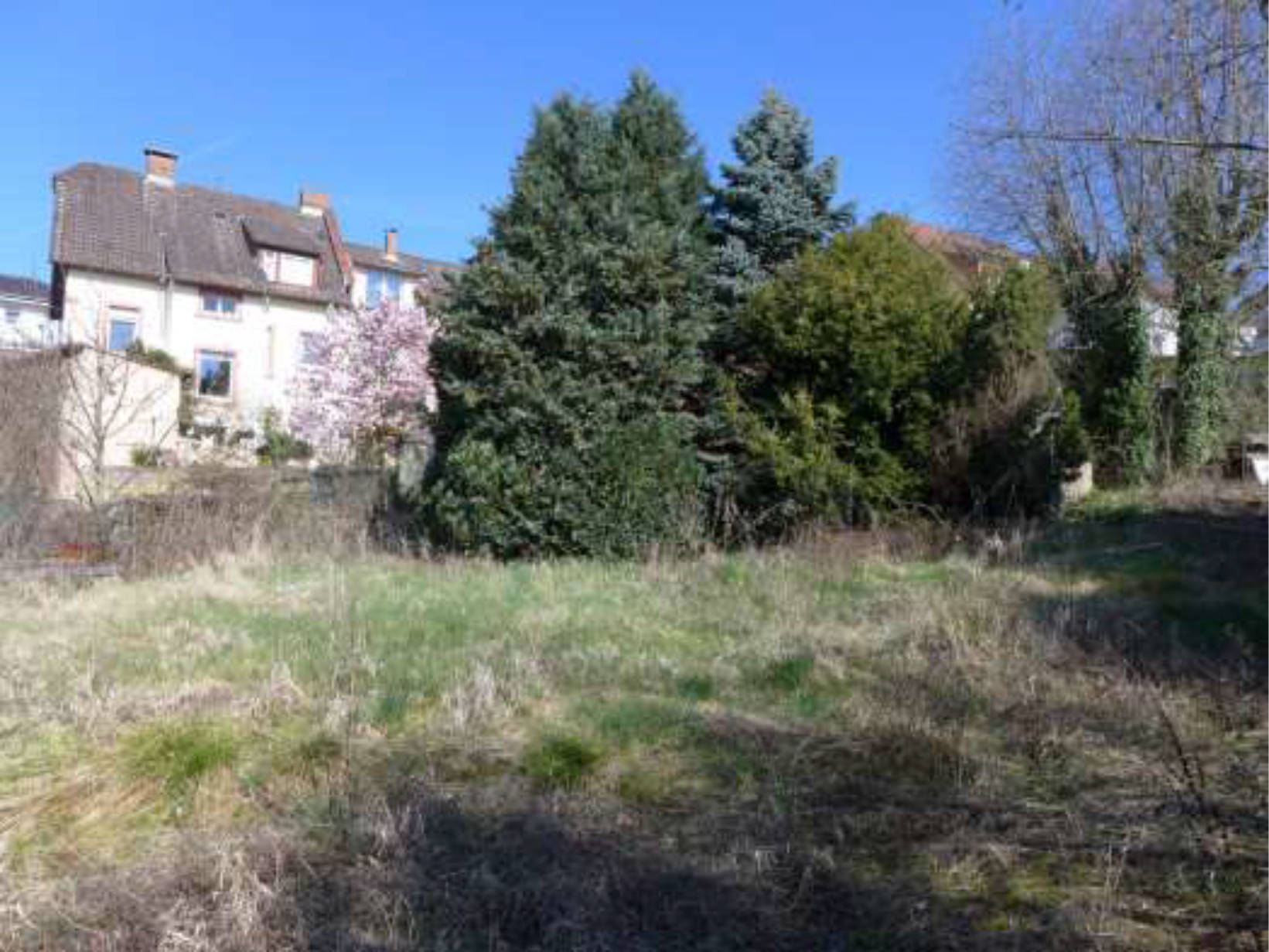 hessen 0844 K 0003/2025 Carl-Schultis-Straße 14, 60388 Frankfurt am Main, Bergen-Enkheim 9