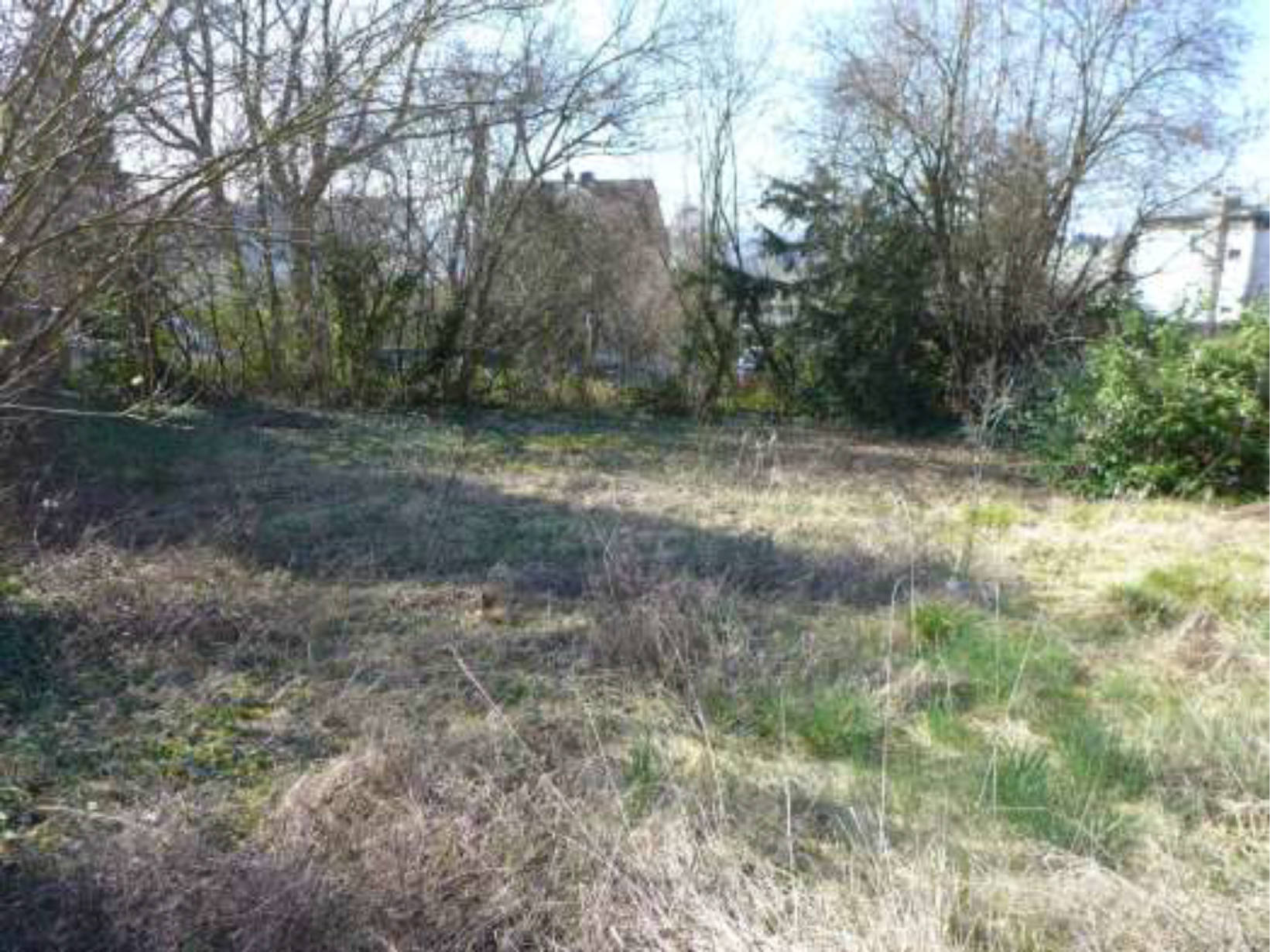 hessen 0844 K 0003/2025 Carl-Schultis-Straße 14, 60388 Frankfurt am Main, Bergen-Enkheim 23