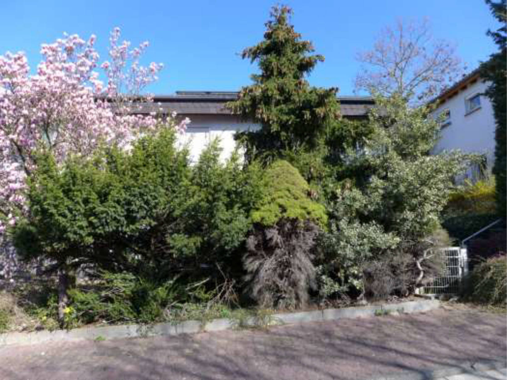 hessen 0844 K 0003/2025 Carl-Schultis-Straße 14, 60388 Frankfurt am Main, Bergen-Enkheim 18