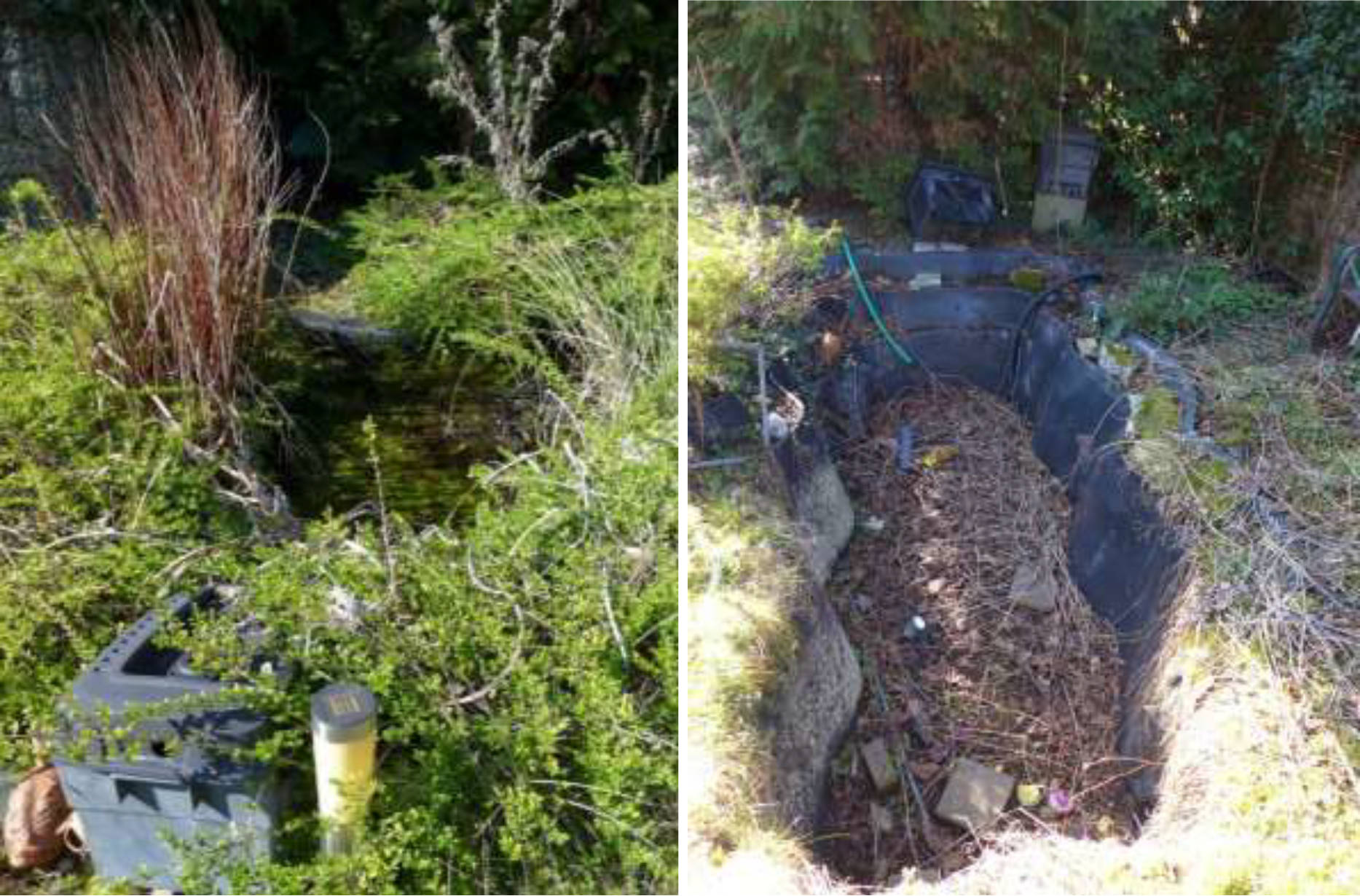 hessen 0844 K 0003/2025 Carl-Schultis-Straße 14, 60388 Frankfurt am Main, Bergen-Enkheim 24