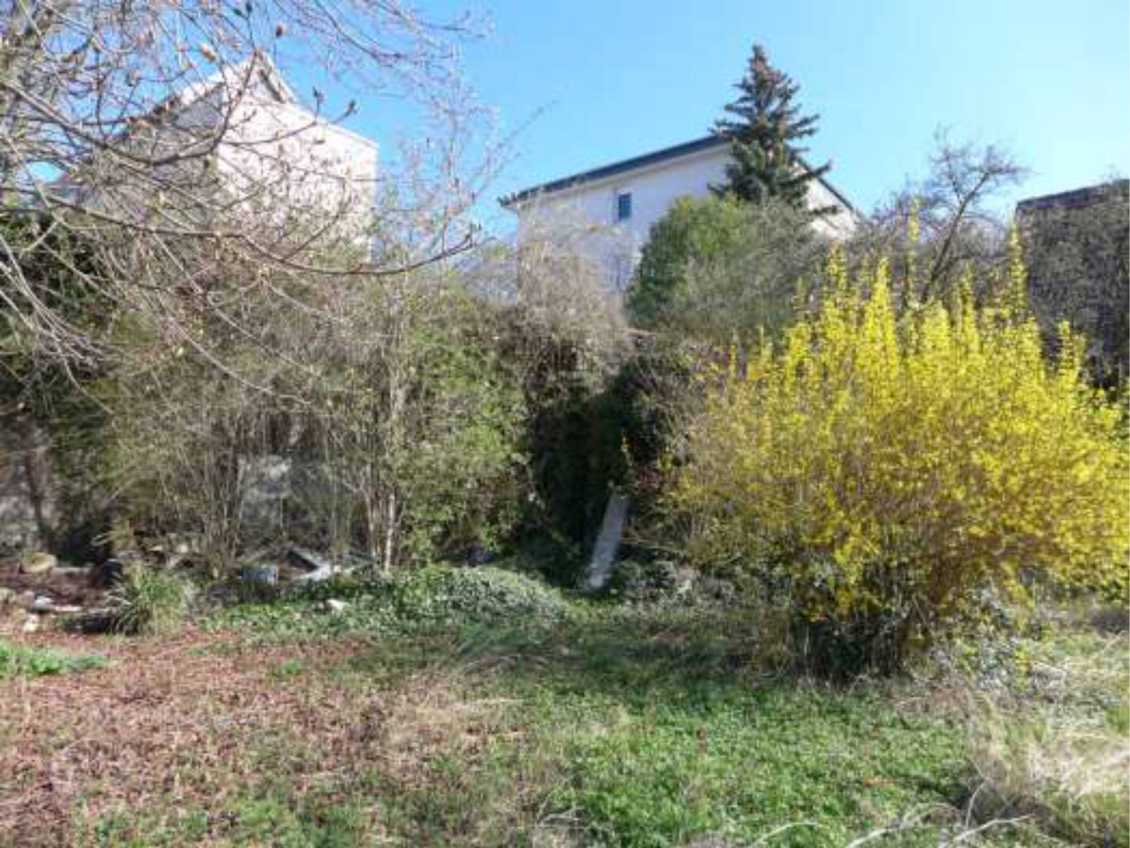 hessen 0844 K 0003/2025 Carl-Schultis-Straße 14, 60388 Frankfurt am Main, Bergen-Enkheim 31