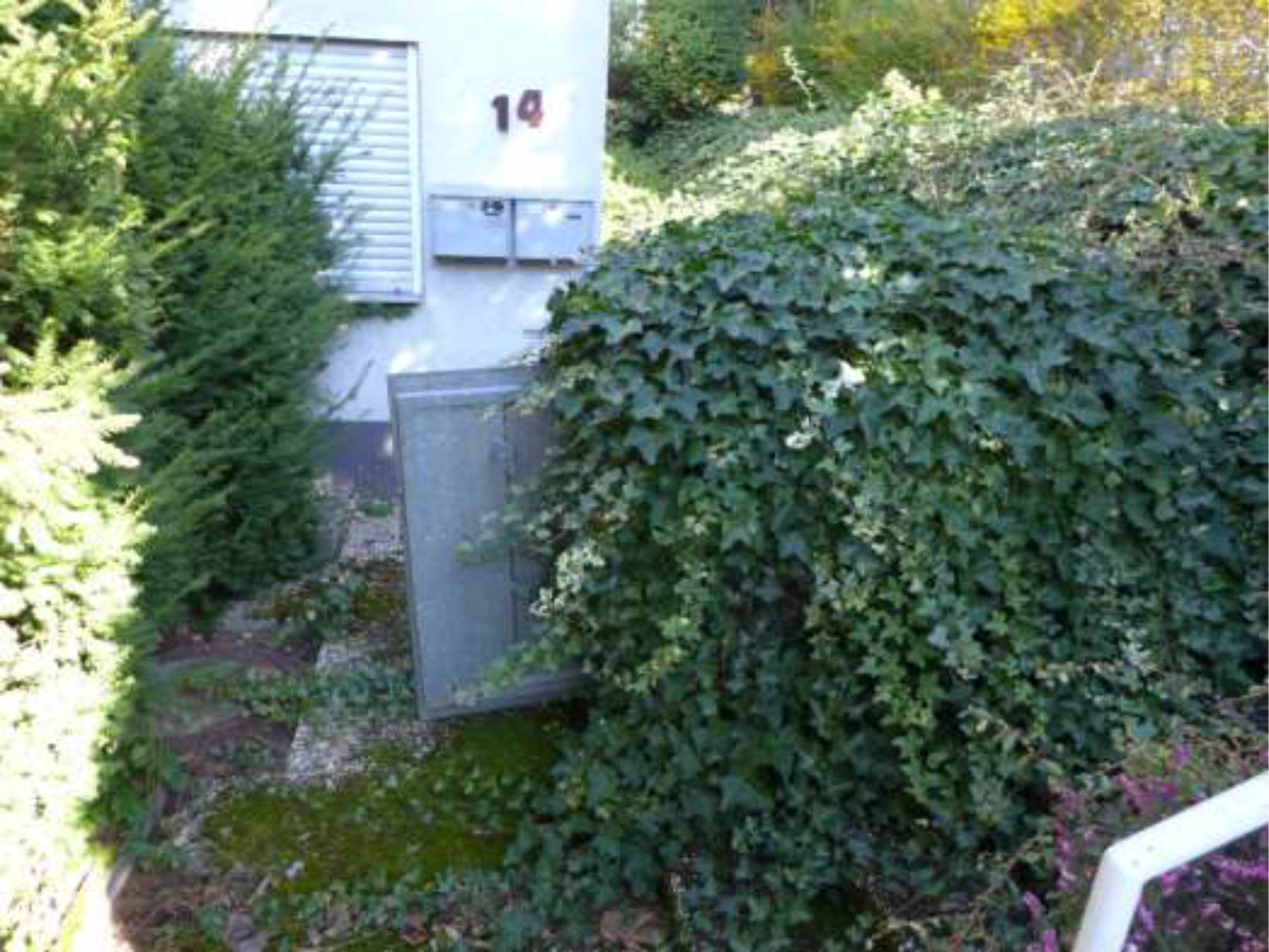 Einfamilienhaus in Carl-Schultis-Straße 14, 60388 Frankfurt am Main, Bergen-Enkheim - Bild 3