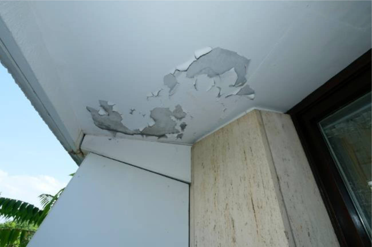 hessen 0844 K 0017/2024 Mailänder Straße 3-23, 60598 Frankfurt am Main, Sachsenhausen 21