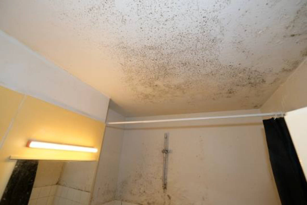 Eigentumswohnung (1 bis 2 Zimmer) in Robert-Dißmann-Straße 2-10, 65936 Frankfurt am Main, Sossenheim - Bild 2