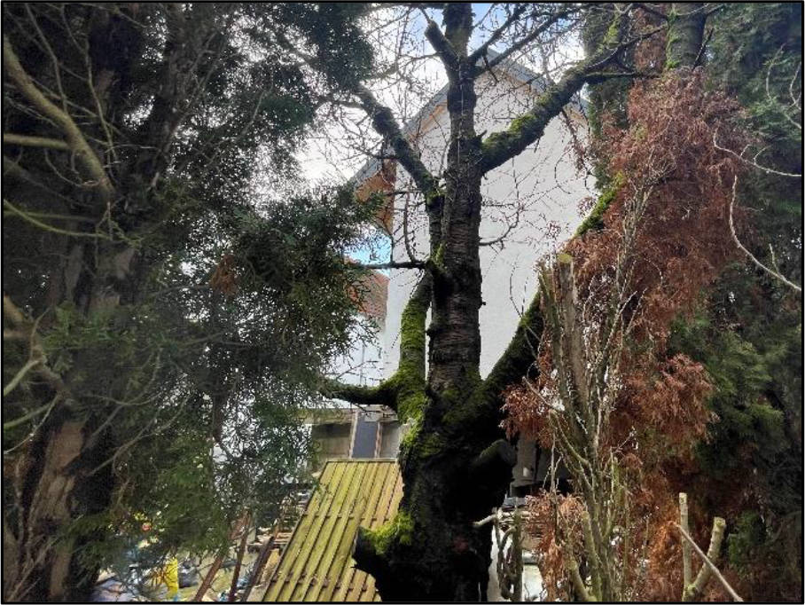 hessen 0844 K 0040/2024 Rathausstr. 29, 61184 Karben, Klein-Karben 6