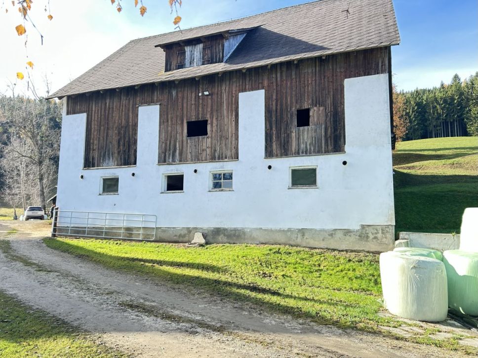 Land- und Forstwirtschaftlich in Lading 17, 9411 St. Michael - Bild 2