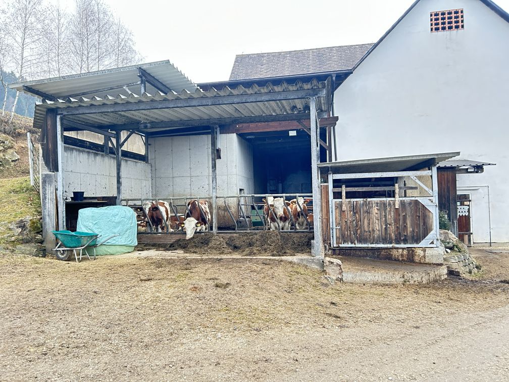Land- und Forstwirtschaftlich in Lading 17, 9411 St. Michael - Bild 3