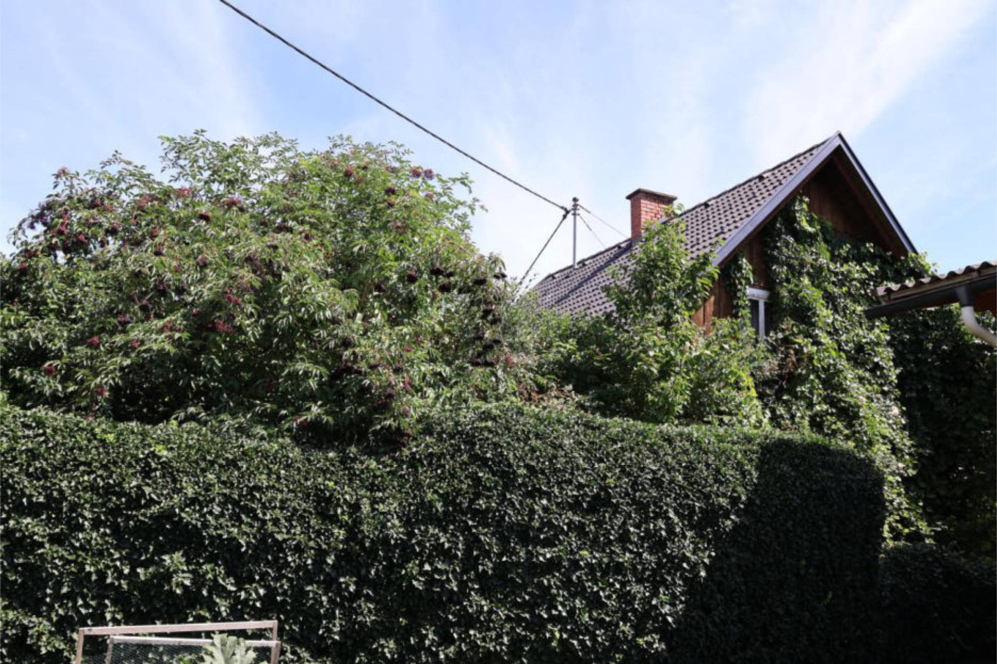 Einfamilienhäuser in Klagenfurter Straße 56, 9431 Kleinedling/St. Stefan - Bild 2