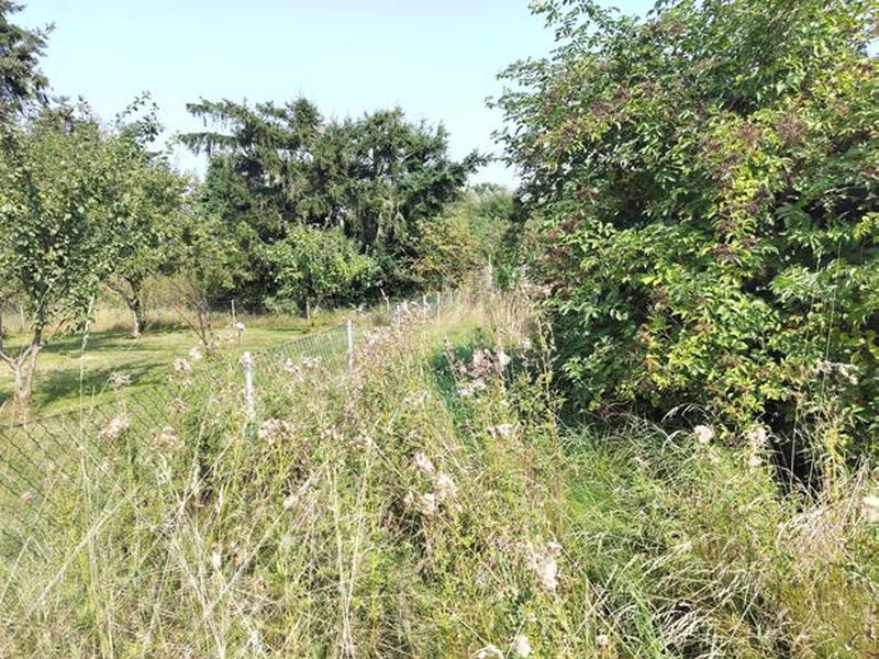 Einfamilienhaus in Am Sonnenberg 40, 19412 Kuhlen - Bild 5