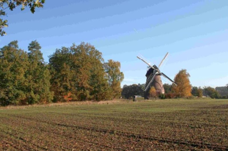 Wohnhaus/Landwirtschaftsflächen in Mühlenweg 2a, 19230 Hagenow Heide - Bild 3
