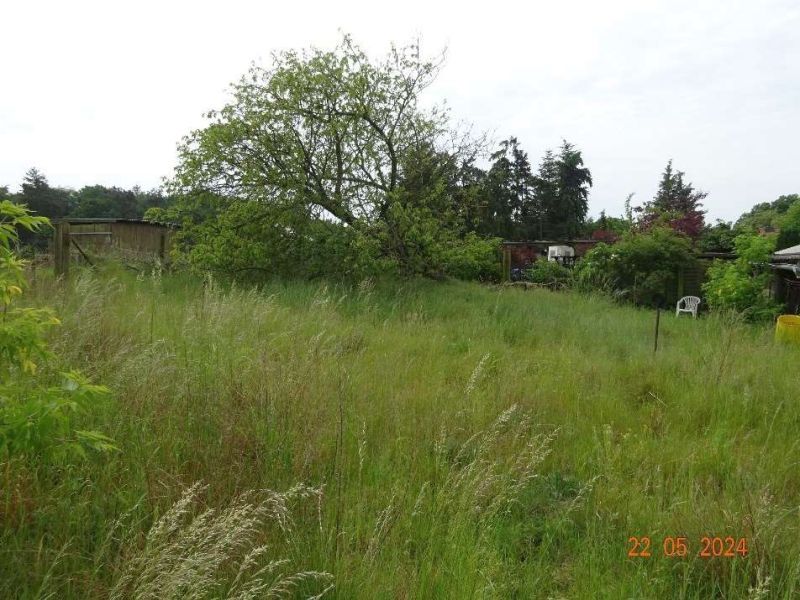 Einfamilienhaus in Am Dorfteich 24, 19406 Kobrow II bei Sternberg - Bild 3
