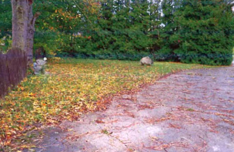 mecklenburg-vorpommern 15a K 2/25 Dorfstraße 30, 19406 Sternberg OT Pastin 6