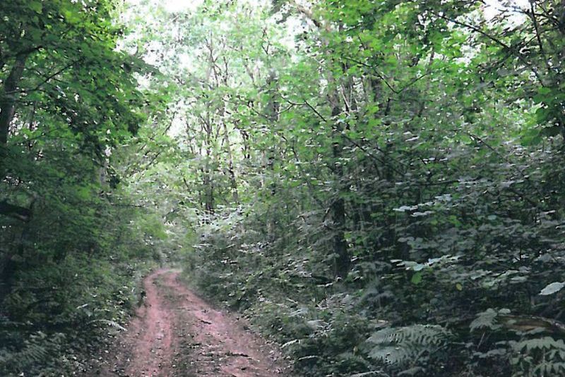 mecklenburg-vorpommern 30 K 23-23 Teschower Straße, 23923 Selmsdorf OT Teschow