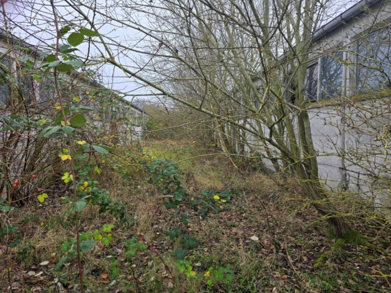 Gewerbeobjekt in Dorfstraße 13, 23923 Lockwisch - Bild 3