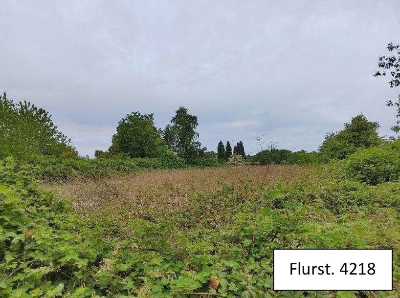 Grundstück in , 23966 Wismar - Bild 2