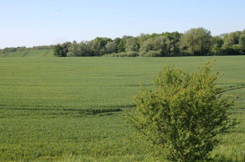 Mecklenburg-Vorpommern 30 K 7-24 , 23992 Zurow OT Kahlenberg