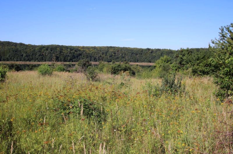 Land-/Forstwirtschaft in , 17429 Heringsdorf OT Neu Sallenthin