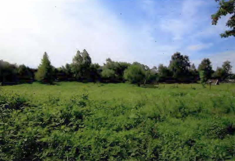 Land-/Forstwirtschaft in , 17449 Mölschow - Bild 2