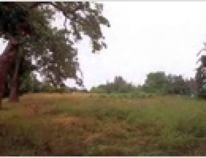 Grundstück in Ecke Schulstraße/Straße des Friedens, 17440 Buggenhagen - Bild 2