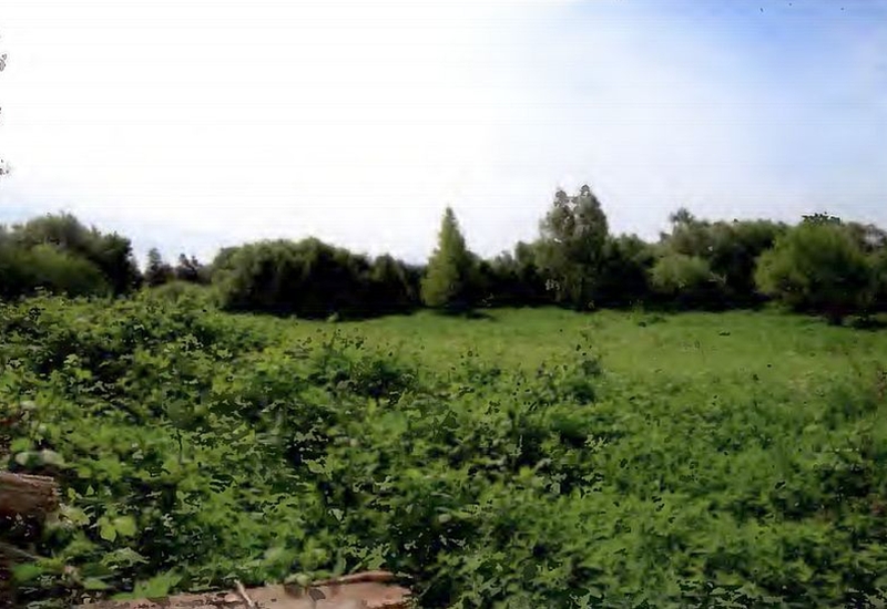 Land-/Forstwirtschaft in , 17449 Mölschow - Bild 4