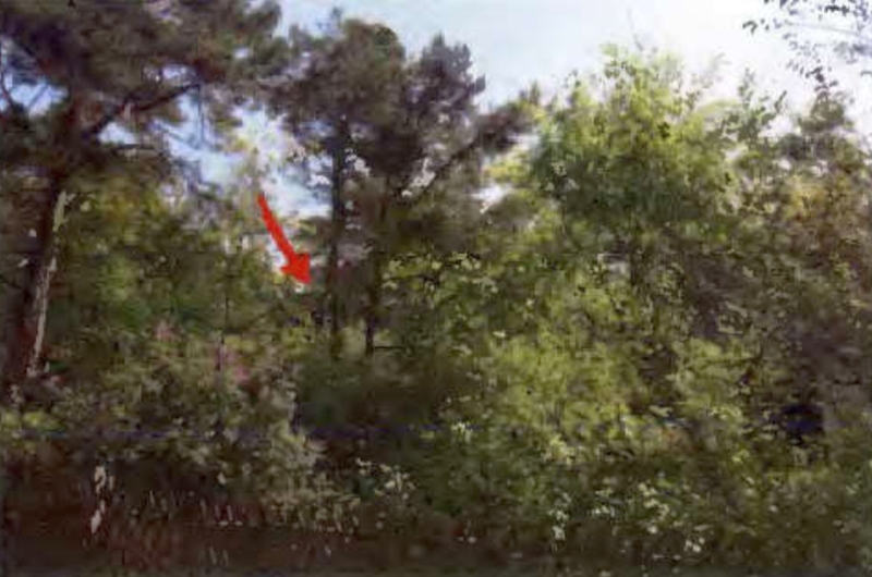 Wochenendhaus in Finkenweg 3, 17459 Seebad Zempin - Bild 2