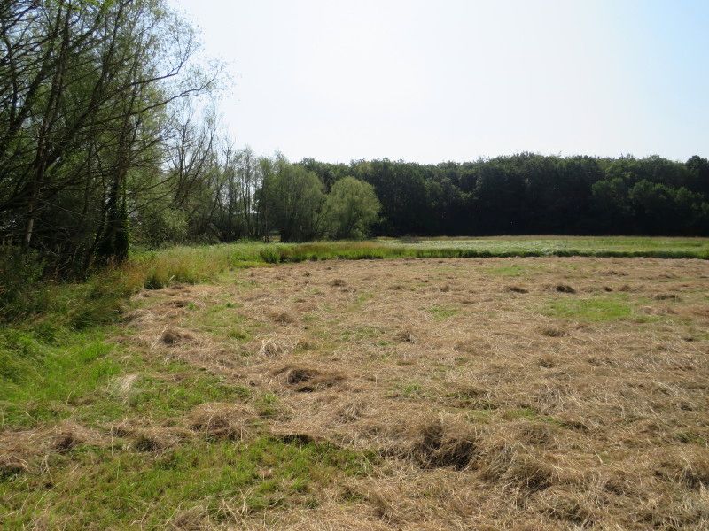 mecklenburg-vorpommern 41 K 7-22 , 17493 Greifswald OT Eldena