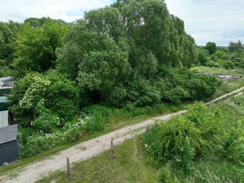 mecklenburg-vorpommern 513 K 24-23 südlich der Thomas-Müntzer-Straße 9a, 17335 Strasburg (Uckermark)