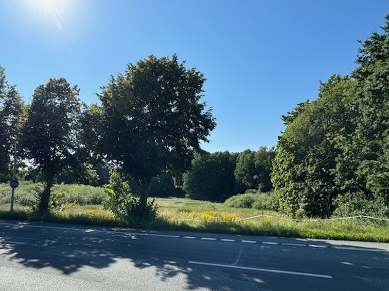 Land-/Forstwirtschaft in Hagenower Straße, 19061 Schwerin - Bild 3