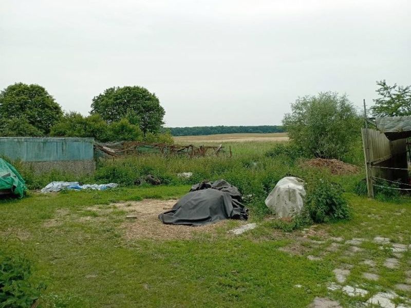 Einfamilienhaus in Parkstraße 8, 17099 Friedland OT Jatzke - Bild 2
