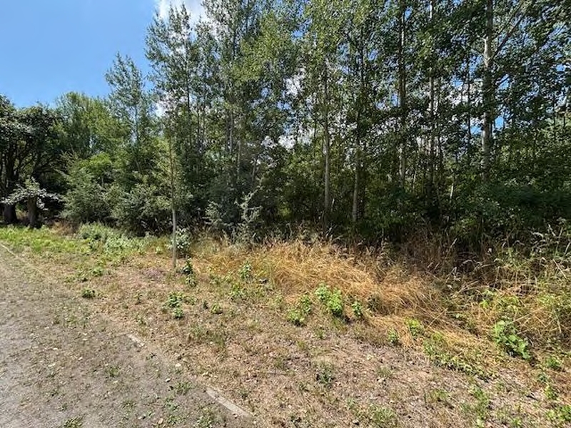 mecklenburg-vorpommern 611 K 17/25 An der Wismutstraße, 17036 Neubrandenburg 10