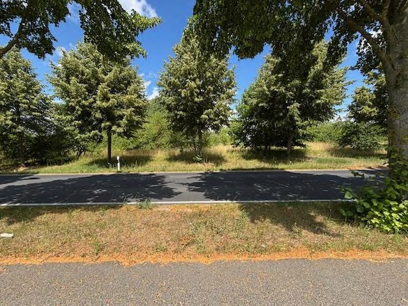 Grundstück in An der Wismutstraße, 17036 Neubrandenburg - Bild 4