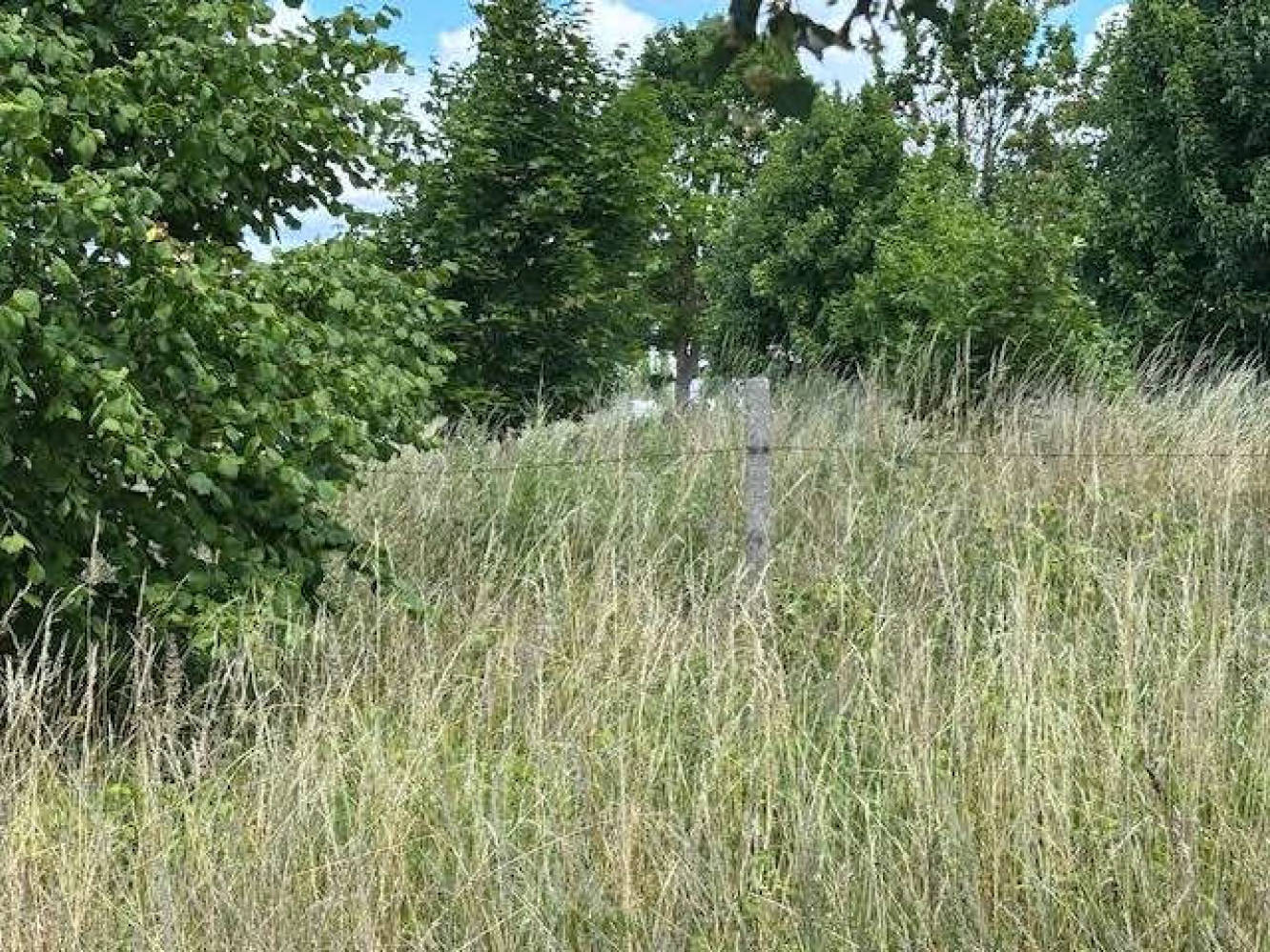mecklenburg-vorpommern 611 K 17/25 An der Wismutstraße, 17036 Neubrandenburg 12