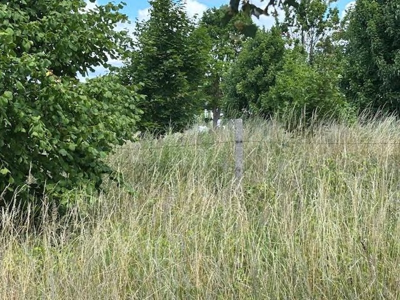 Grundstück in An der Wismutstraße, 17036 Neubrandenburg - Bild 5