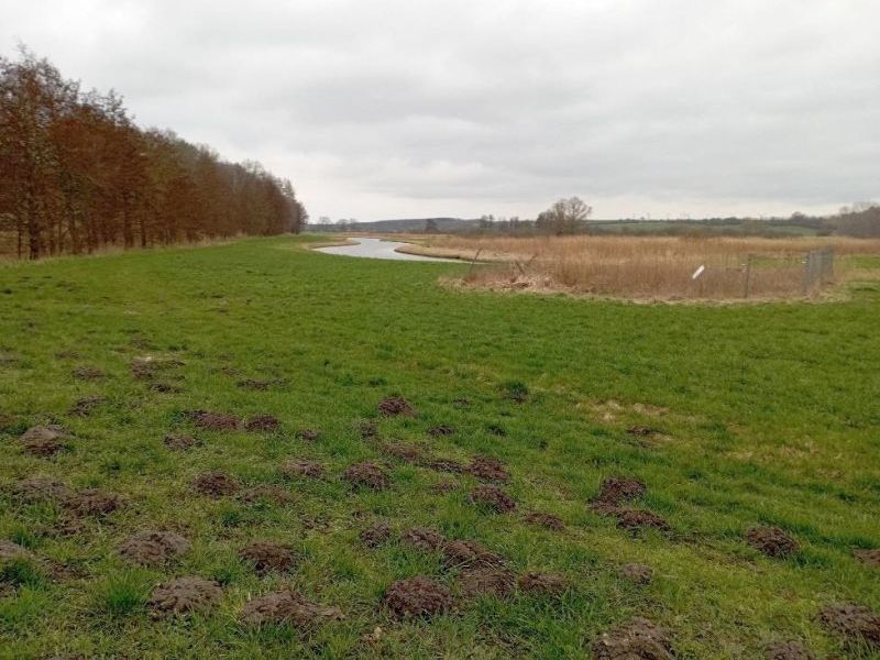 Land-/Forstwirtschaft in , 17087 Altentreptow - Bild 4