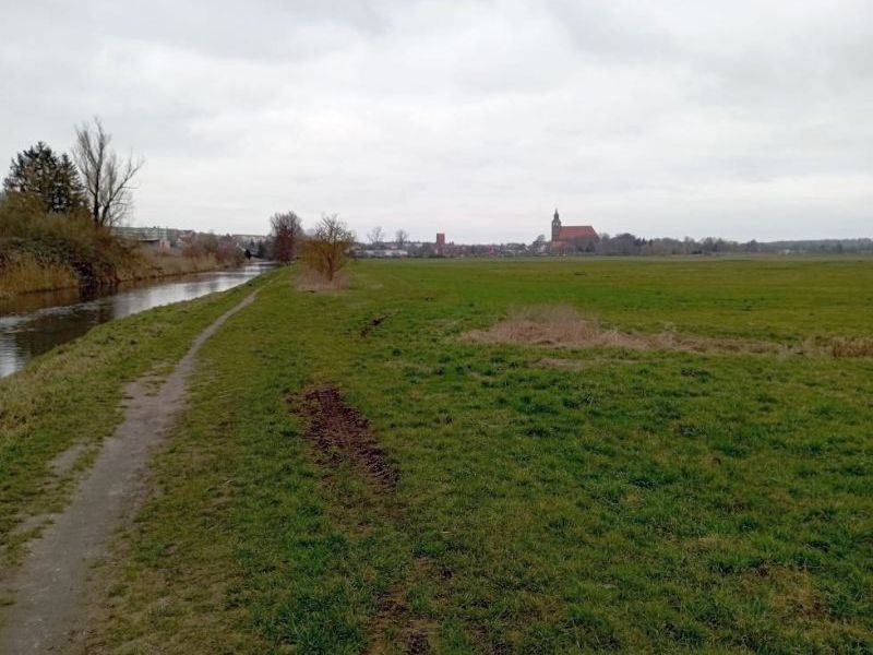 Land-/Forstwirtschaft in , 17087 Altentreptow - Bild 3